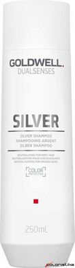 Шампунь для осветленных и седых волос Goldwell Dualsenses Silver 250 мл