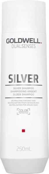 Шампунь для осветленных и седых волос Goldwell Dualsenses Silver 250 мл