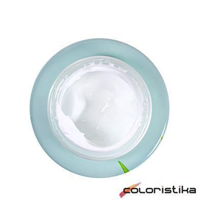 Крем для обличчя зволожувальний Bioaqua Aloe Vera Face Cream 99% Hydrating Soothing 50 мл