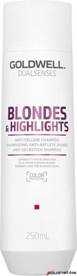 Шампунь анти-жовтий для освітленого волосся Goldwell Dualsenses Blondes&Highlights 250 мл