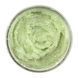 Цукровий скраб для тіла Hollyskin Green Tea з олією ши та перлітом