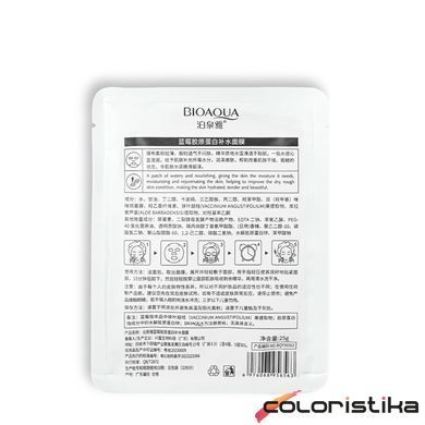 Маска для лица увлажняющая Bioaqua Blueberry тканевая 23 г (BQY56563)