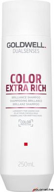 Шампунь для сохранения цвета толстых и пористых окрашенных волос Goldwell Dualsenses Color Extra Rich 250 мл