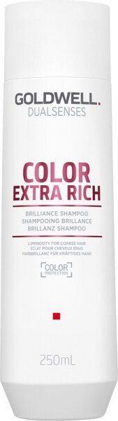 Шампунь для сохранения цвета толстых и пористых окрашенных волос Goldwell Dualsenses Color Extra Rich 250 мл