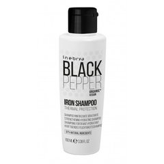Шампунь для зволоження та зміцнення волосся Inebrya Black Pepper Iron Shampoo 300 мл