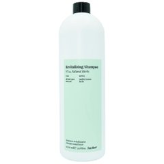 Травяний шампунь для глибокого очищення FarmaVita Backbar Revitalizing Shampoo №04 Natural Herbs 1000 мл