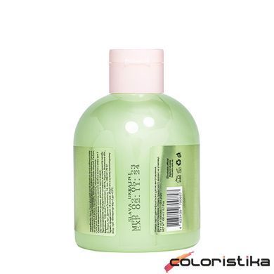 Гель для душу зволожувальний Hollyskin Green Tea 300 мл