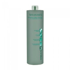 Шампунь для відновлення пошкодженного волосся ING Professional Treat-ING Treated Hair Shampoo 1000 мл